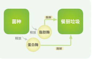 如何处理餐厨垃圾恶臭问题?